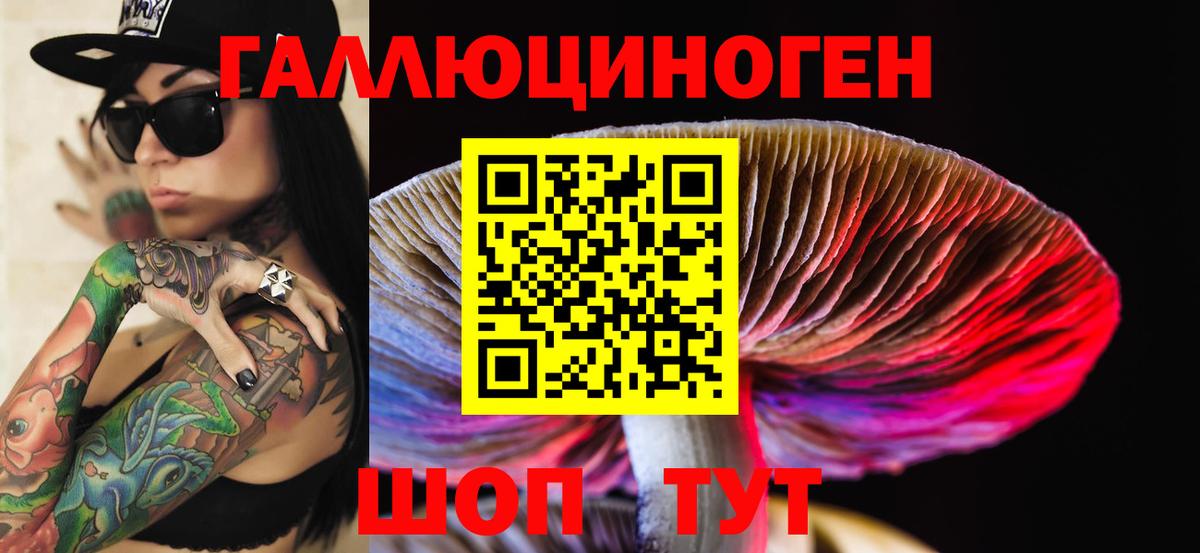 Галлюциногенные грибы ЛСД  Вход с VPN  Новозыбков 